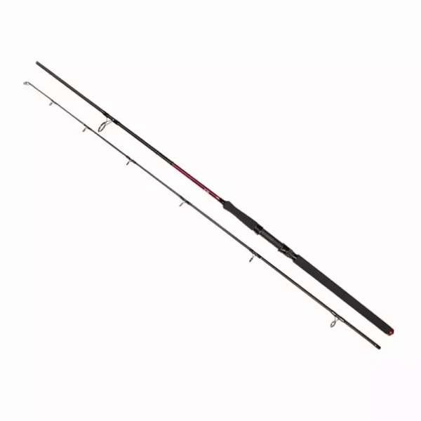 Καλάμι Golden Catch Passion Power 2,40m 100-180g για Shore Jigging και Heavy Spinning