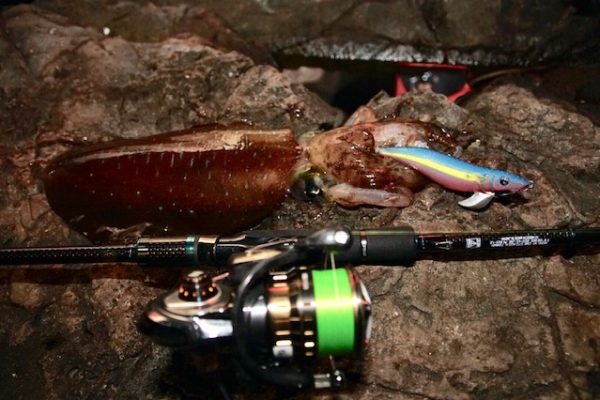 Sunline Siglon X8 300 m Multicolor – Νήμα οκτώ κλώνων για jigging